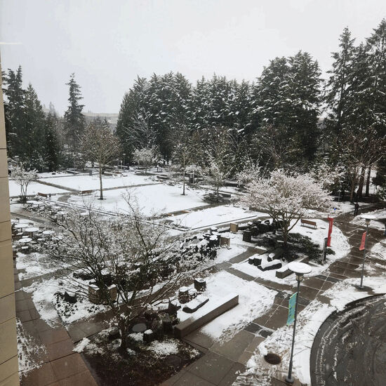 Pasted image 20260315114435_38fECDbB.jpg